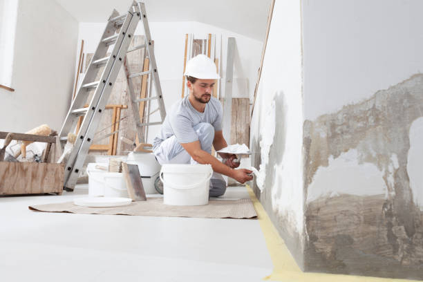 Best Asbestos and Lead Testing During Mold Inspection  in Glen Raven, NC