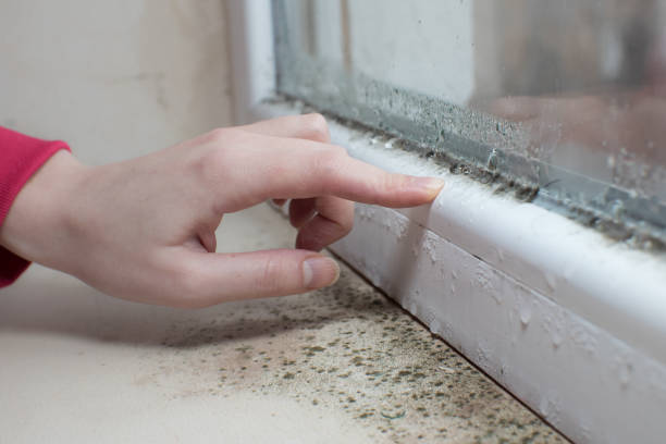 Best Crawl Space Mold Remediation  in Glen Raven, NC