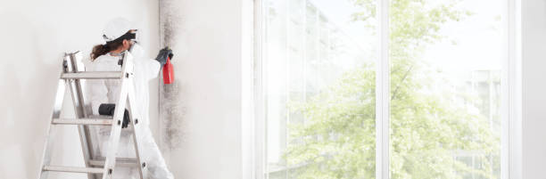 Best Mold Prevention Services  in Glen Raven, NC
